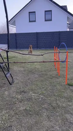 fail slowmo