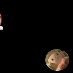 시험공부를 못하는 이유