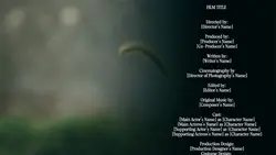 END CREDITS FILM