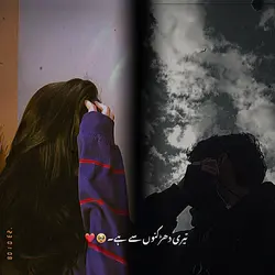 Teri Dhadkano Se Hai