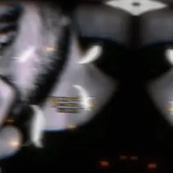 قالب كاب كات جاهز  