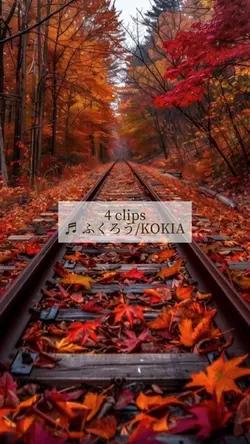 紅葉-色変化