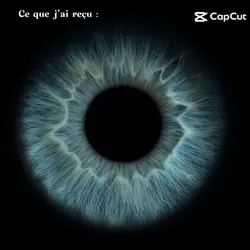 ltsg suivre la trend