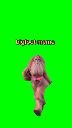 Bigfoot meme