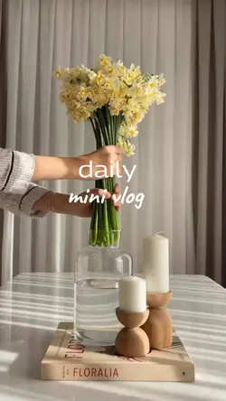 Daily Minivlog