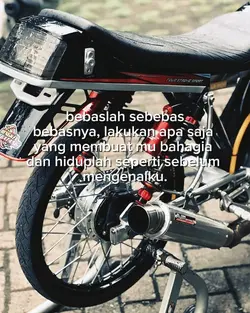 bebaslah