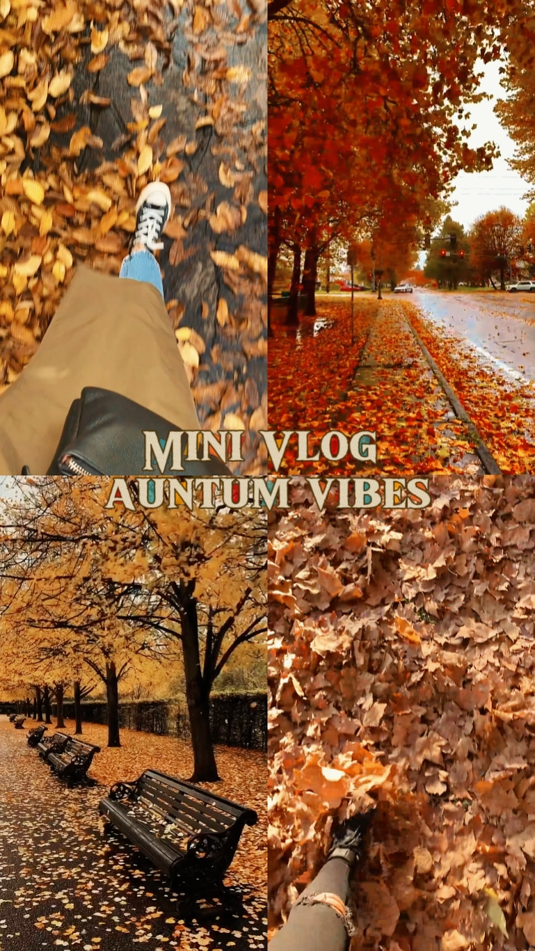 Mini Vlog aunta 