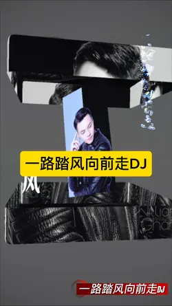 一路踏风向前走DJ