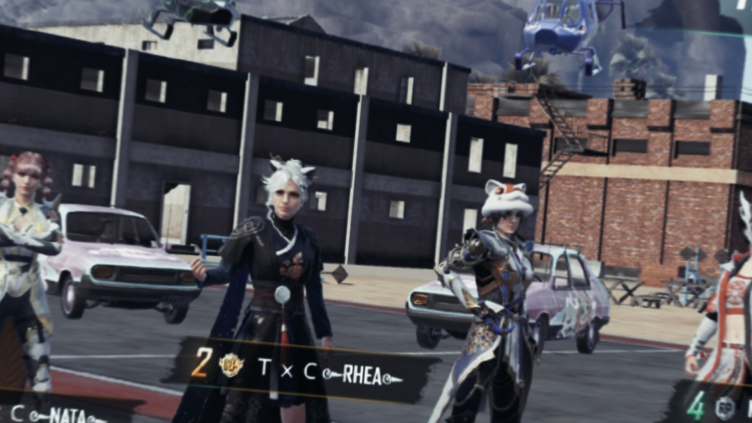 Cover Picture