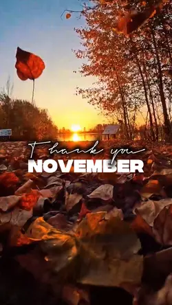 Thank you November