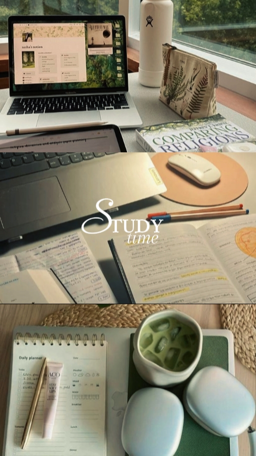 study VLOG 