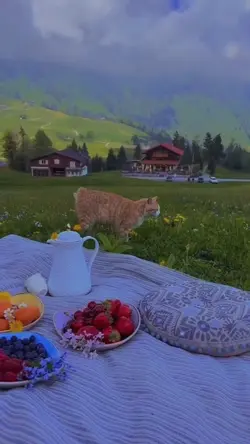 vlog liburan estetik