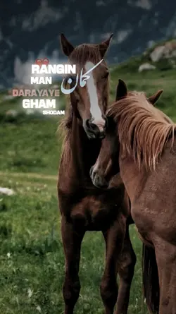 رنگین کمان من