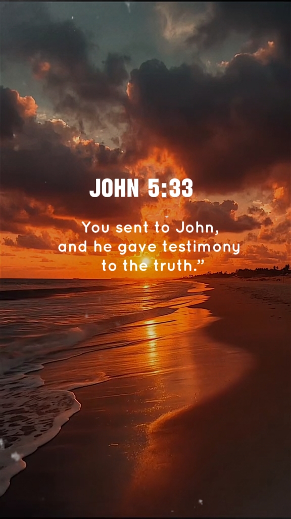 João 5: 33