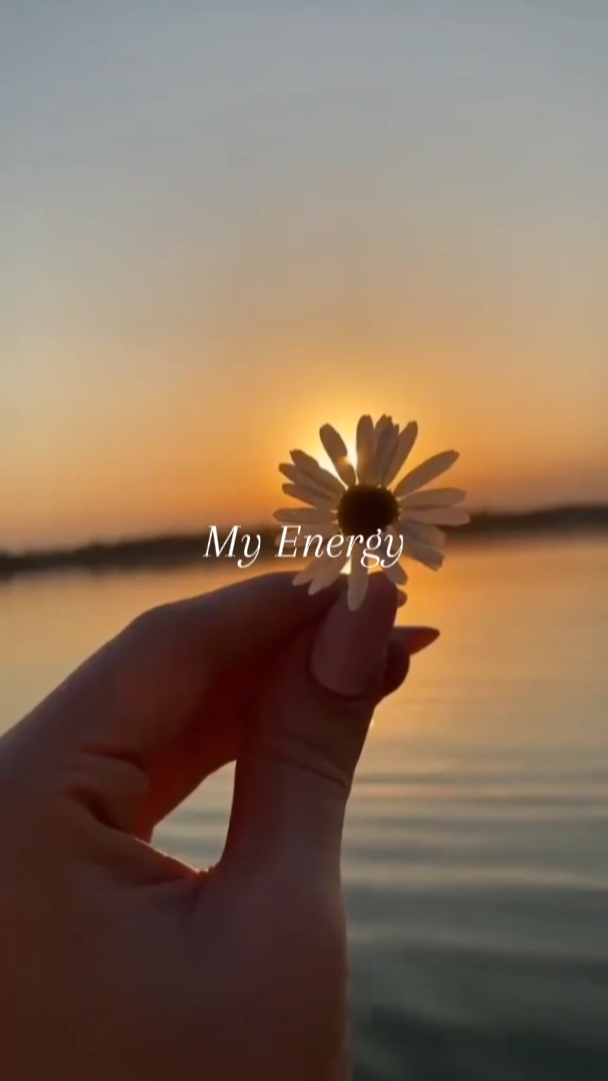 Mi Energía 