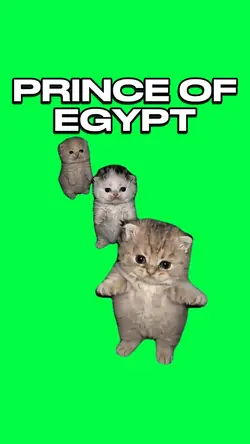 PRINCE OF EGYPT CATS