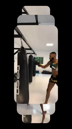 Training UFC Templat