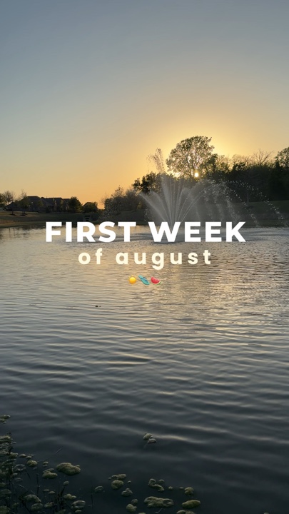 weekly recap
