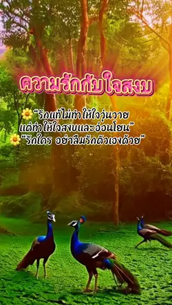 ความรักกับใจสงบ