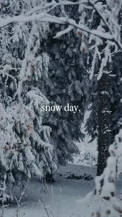 Snow day.