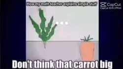Math teacher