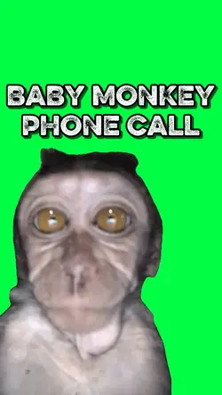 MONKEY PHONE CALL