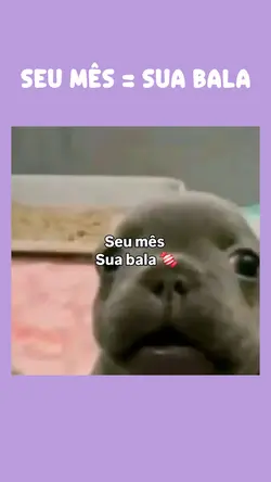 PAUSE NA SUA BALA