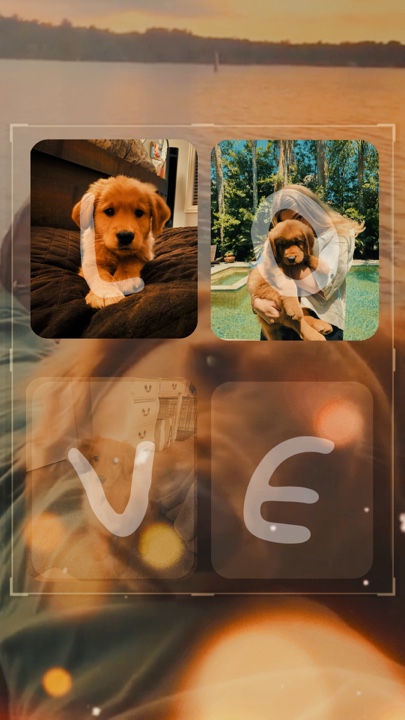 Mi perro y yo amamos