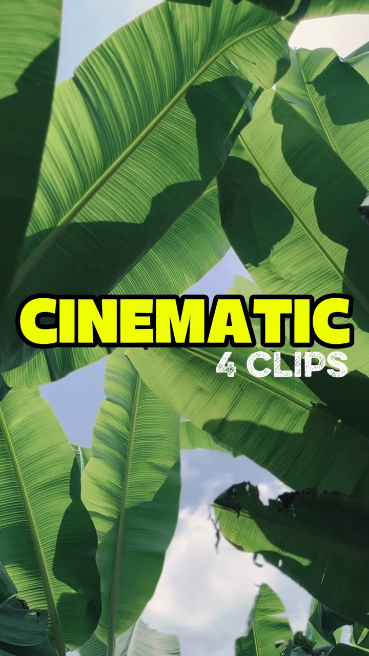 CINÉMATIQUE 4 CLIPS 