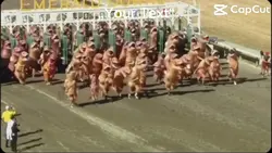 Dinos