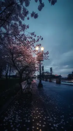時間には限りがある