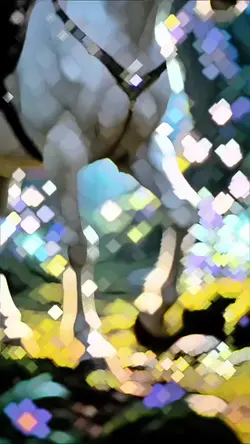 精靈森林