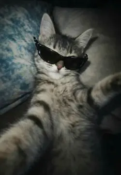 capcuttt