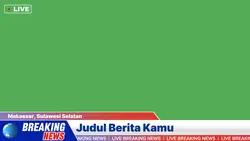 News Green Screen