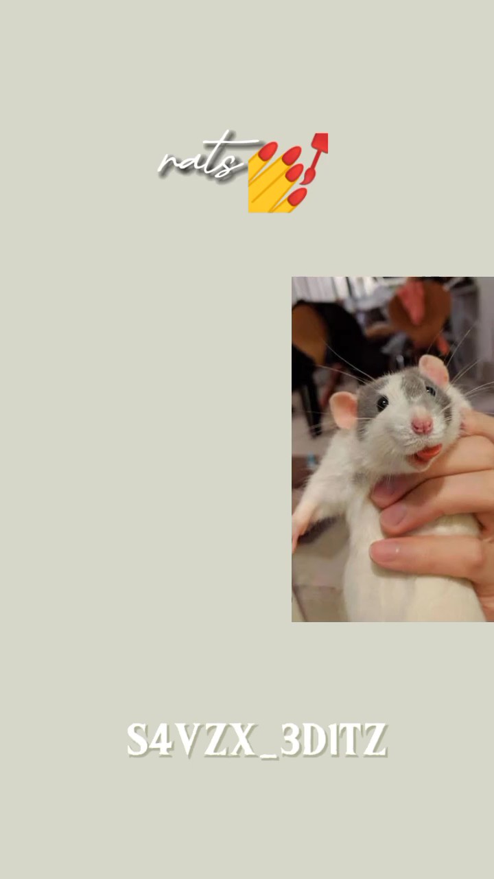 RATS FOR LEIELLA ...