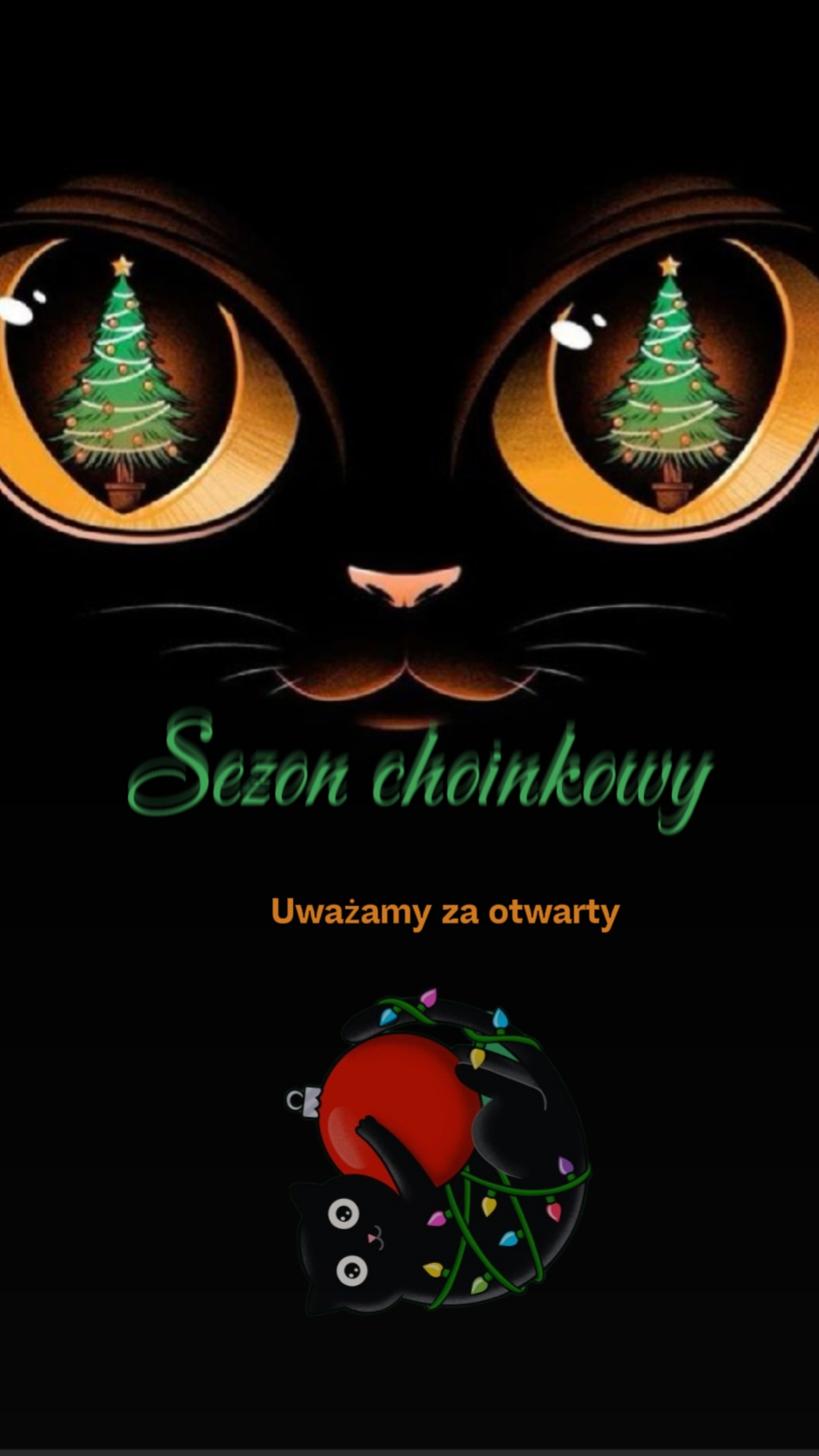 Cat Christmas