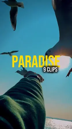 Paradise | Travel