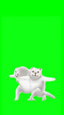 Greenscreen Cat Twin