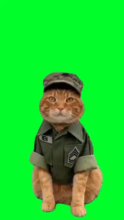 Army cat & drill sgt