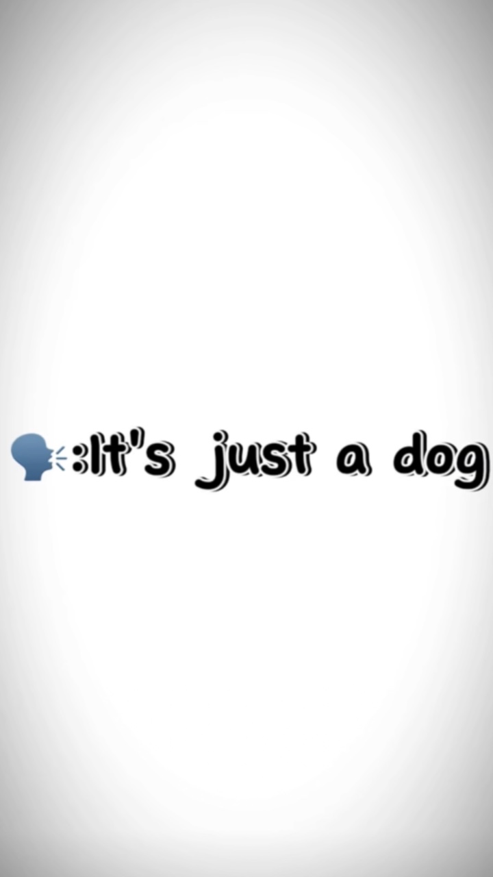 Es ist nur ein Hund 