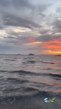 🌊🍃