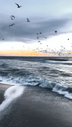 slow motion video