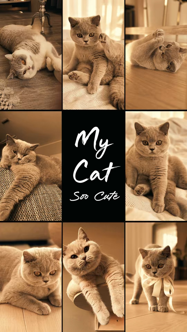 Meine Katze Soo süß 