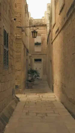 Ziya 