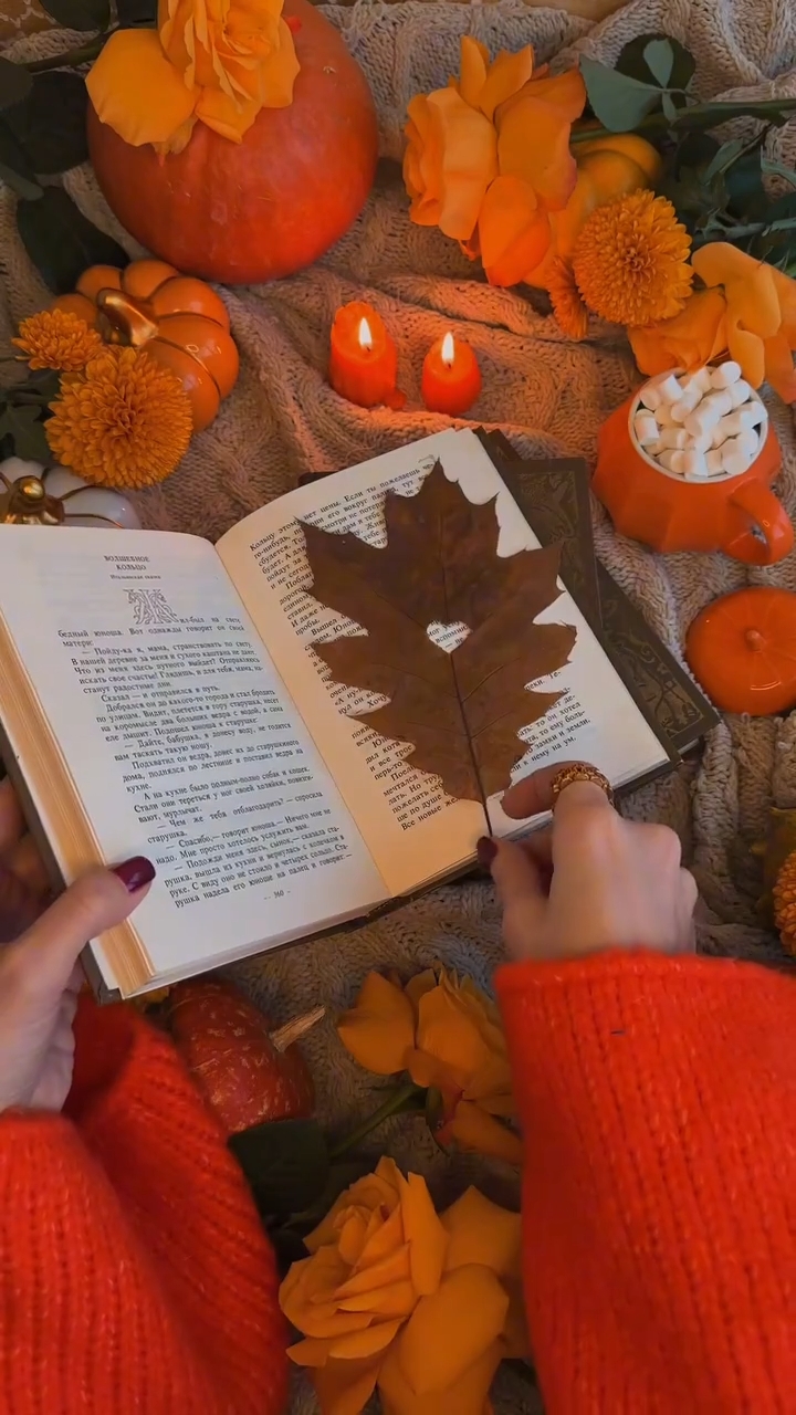 Ambiance d'automne 