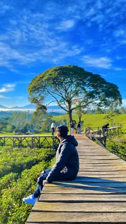 HD + JERNIH