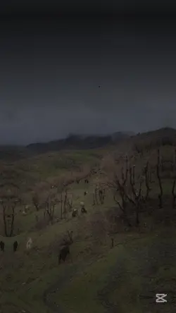 Çetin anık 