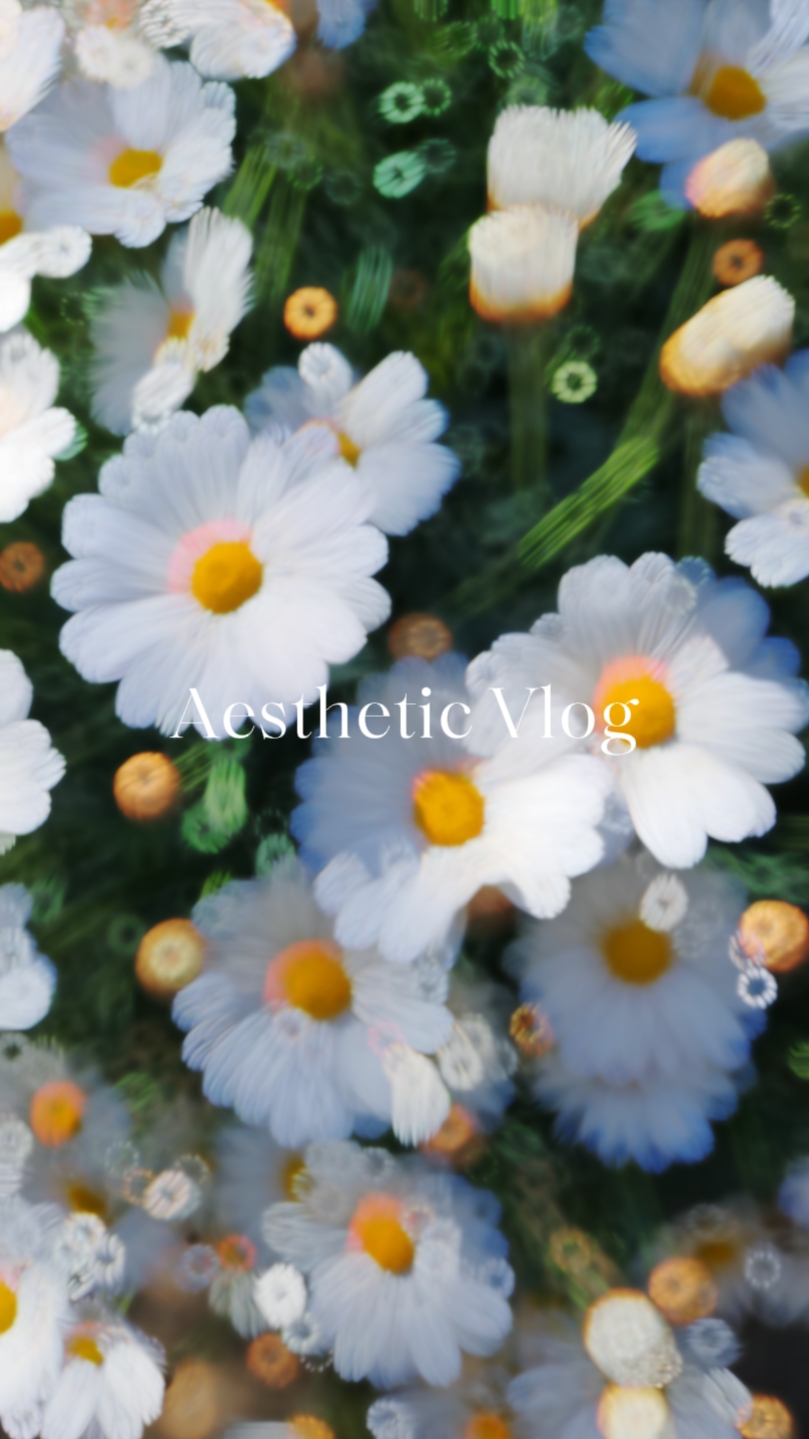 Aesthetic na Vlog
