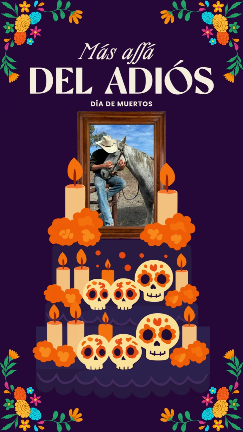 MAS ALLÁ DEL ADIOS
