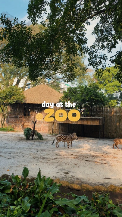 Day at the zoo